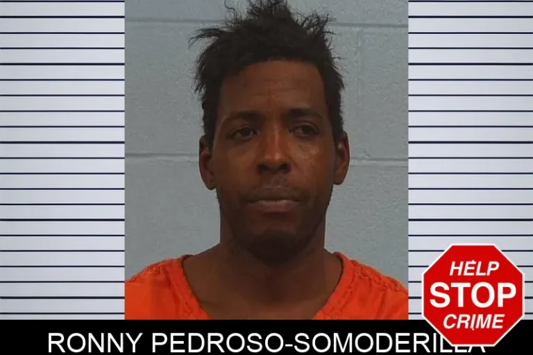 Ronny Pedroso-Somoderilla