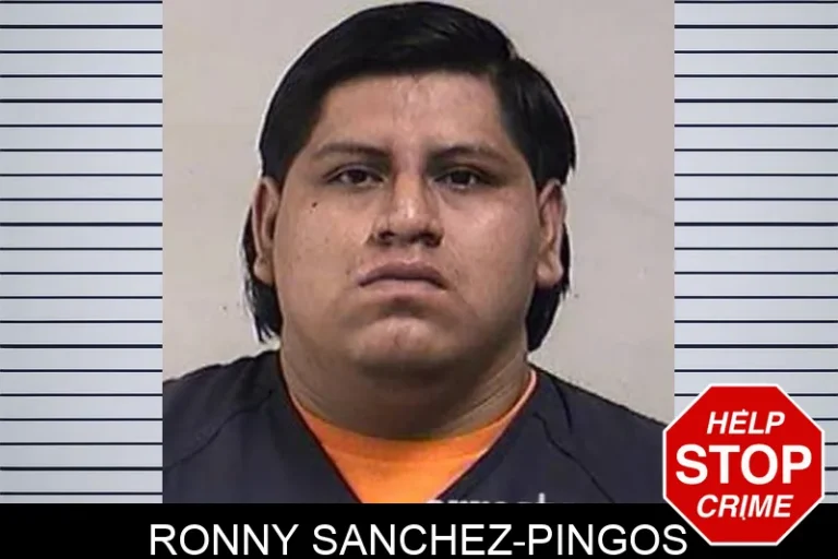 Ronny Sanchez-Pingos