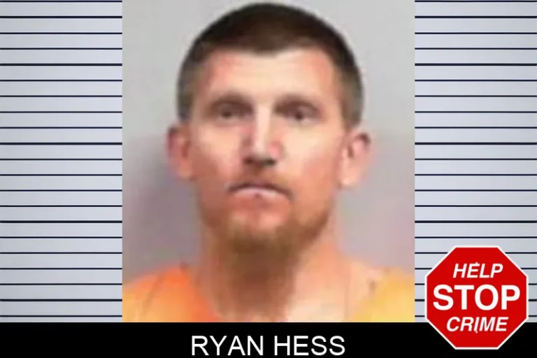 Ryan Hess