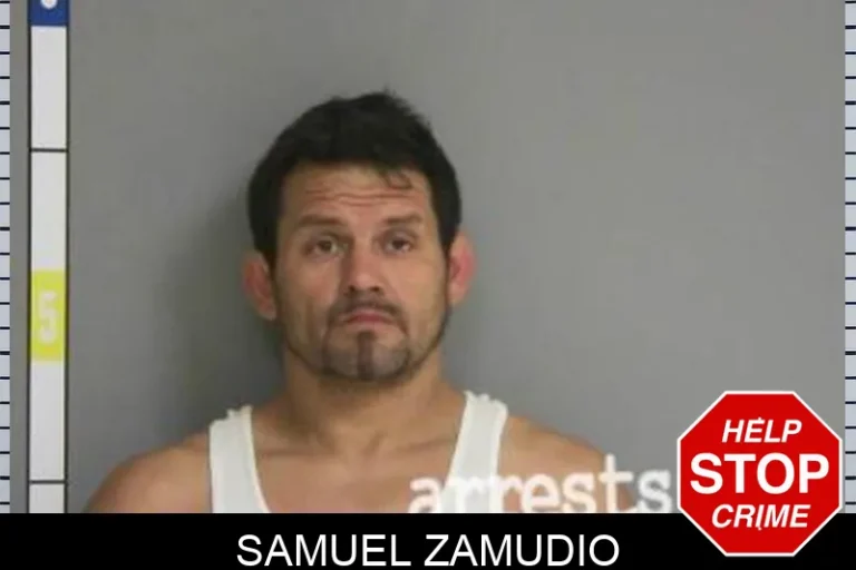 SamuEl ZamuDio