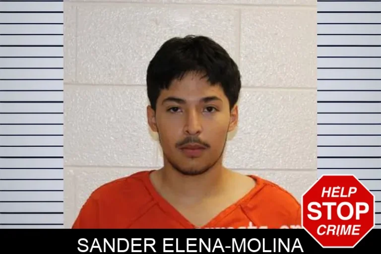 Sander Elena-Molina
