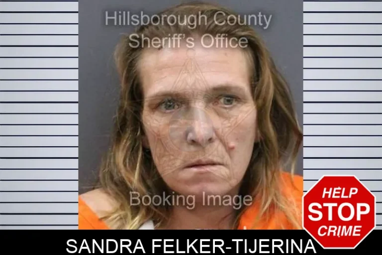 Sandra Felker-Tijerina