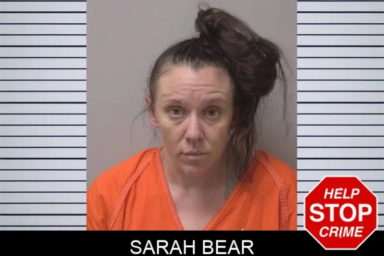 Sarah Bear