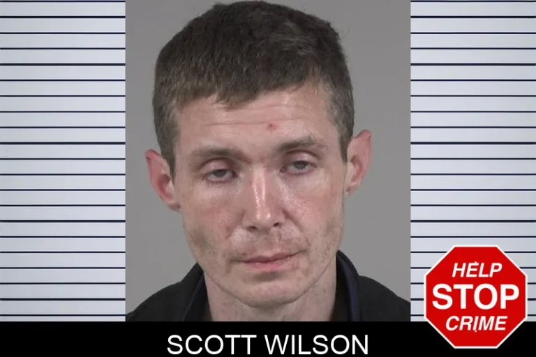 Scott Wilson