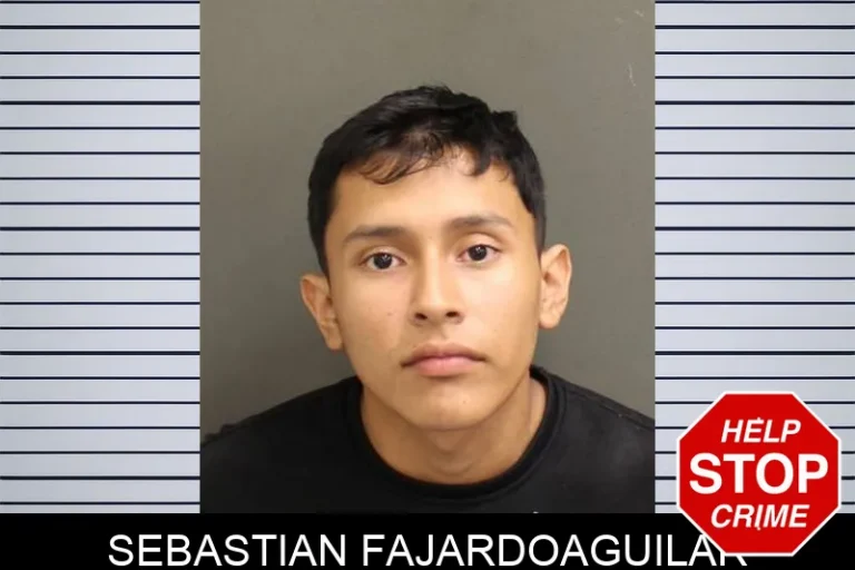 Sebastian FajardoaguIlar