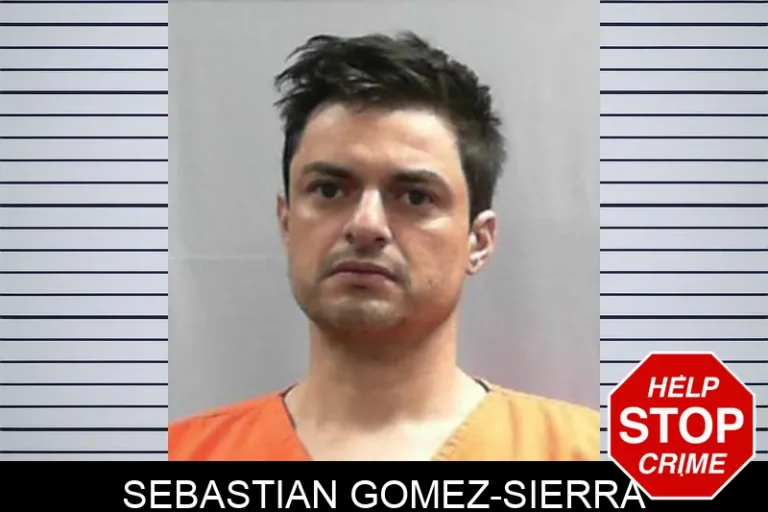 Sebastian Gomez-Sierra