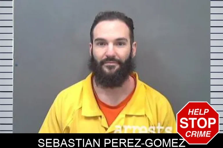 Sebastian Perez-Gomez