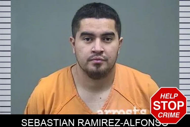 Sebastian Ramirez-Alfonso