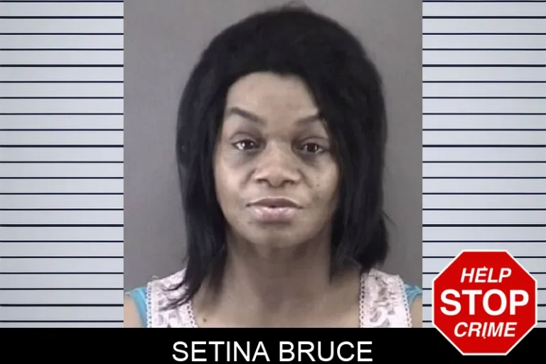 Setina BruCe