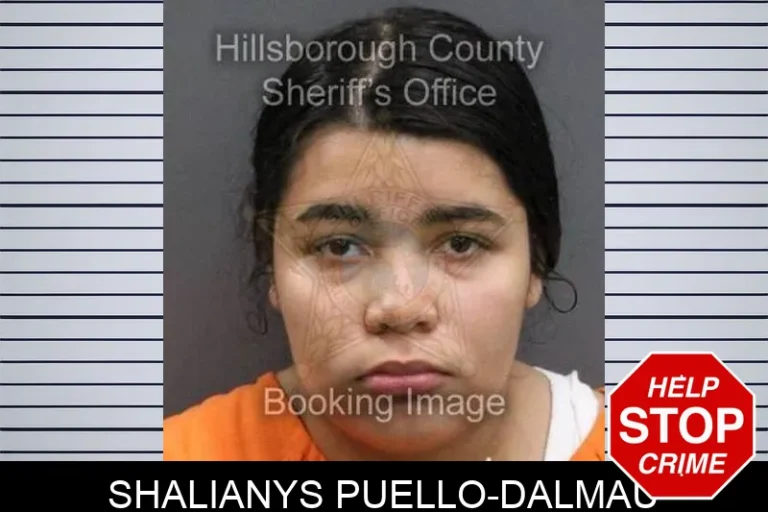 Shalianys PuEllo-Dalmau