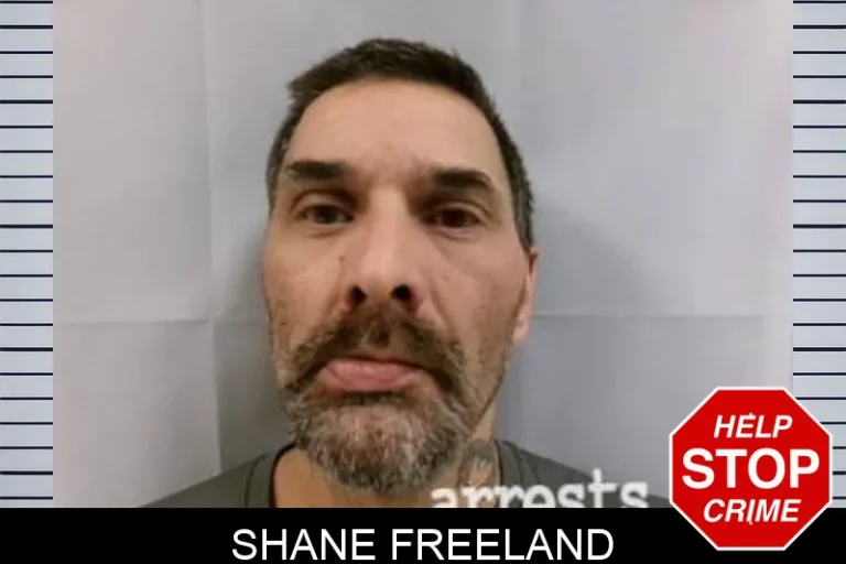 Shane Freeland