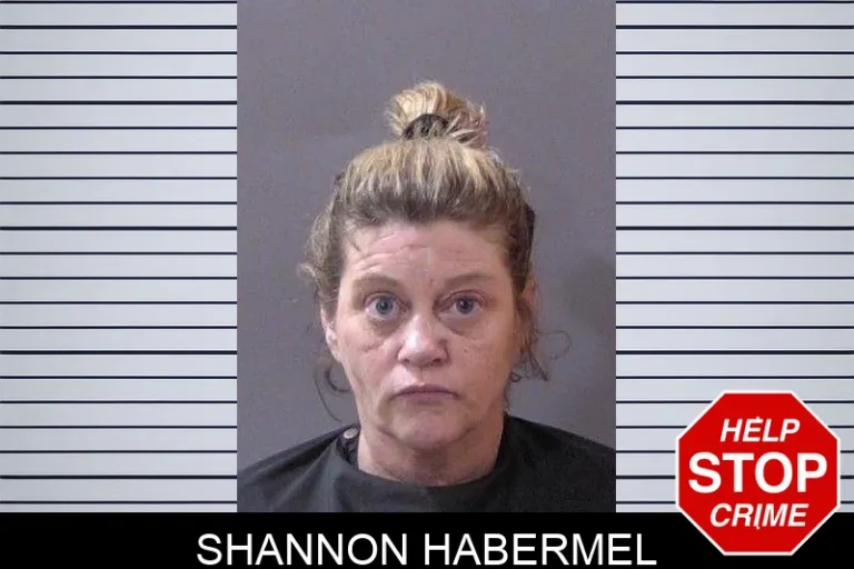 Shannon Habermel
