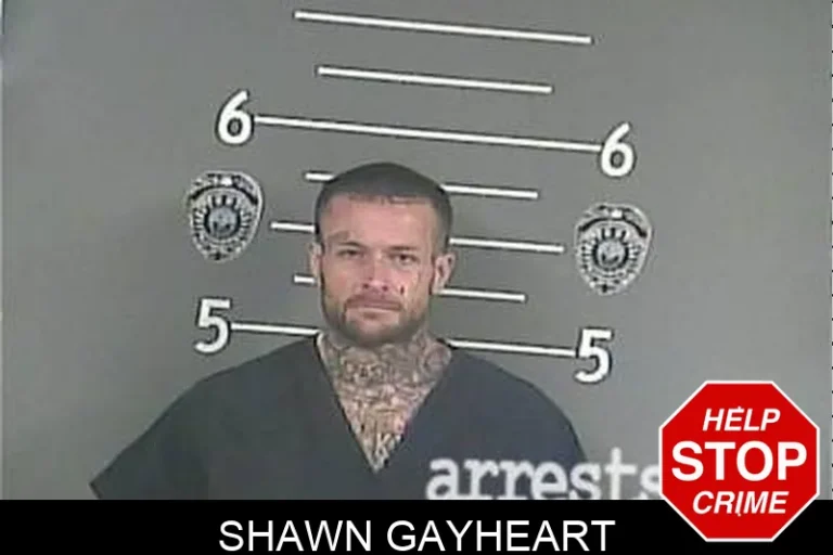Shawn Gayheart