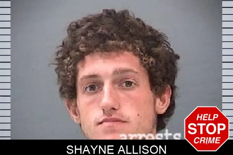 Shayne Allison