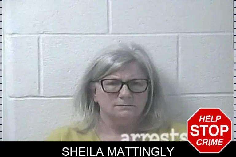 Sheila Mattingly