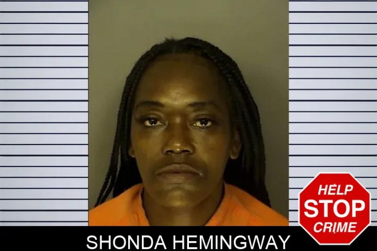 Shonda Hemingway