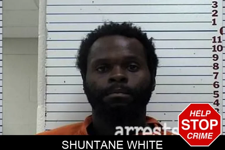 ShuNtane White