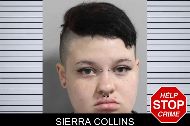 Sierra Collins