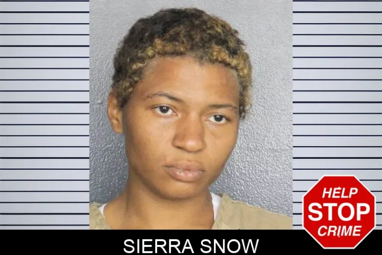 Sierra Snow
