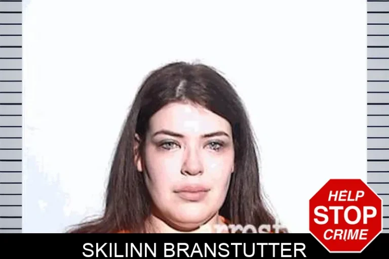 Skilinn Branstutter