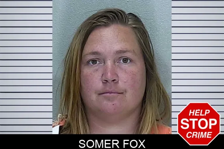 Somer Fox