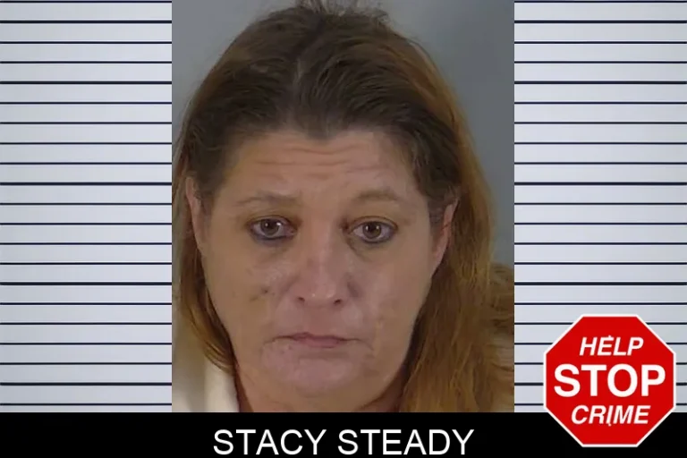 Stacy Steady
