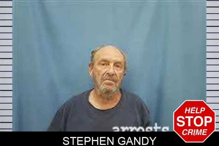 Stephen Gandy