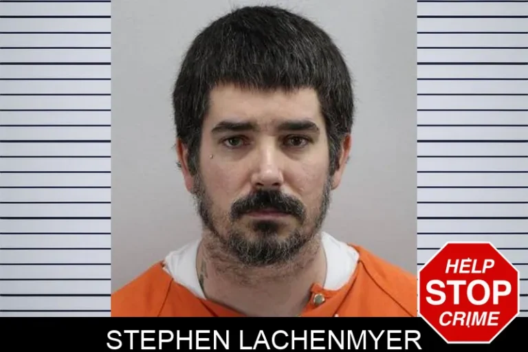 Stephen Lachenmyer
