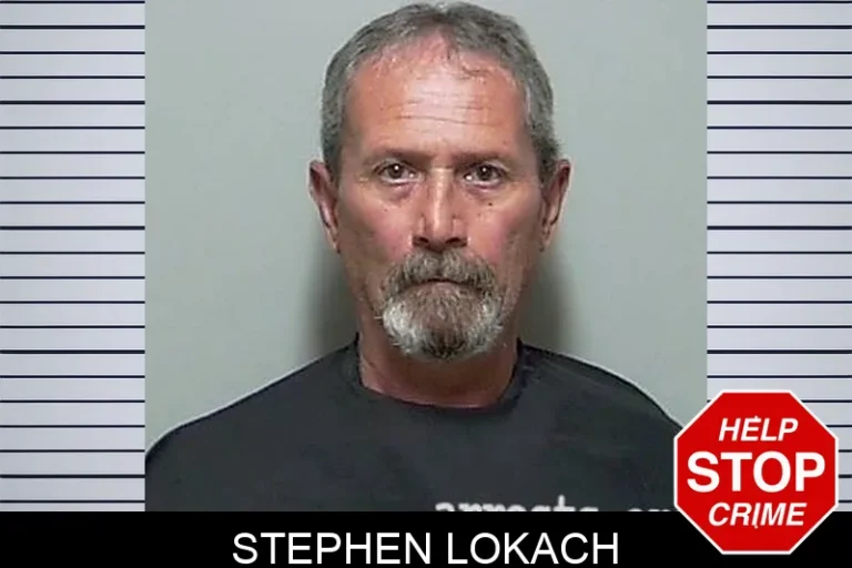 Stephen Lokach