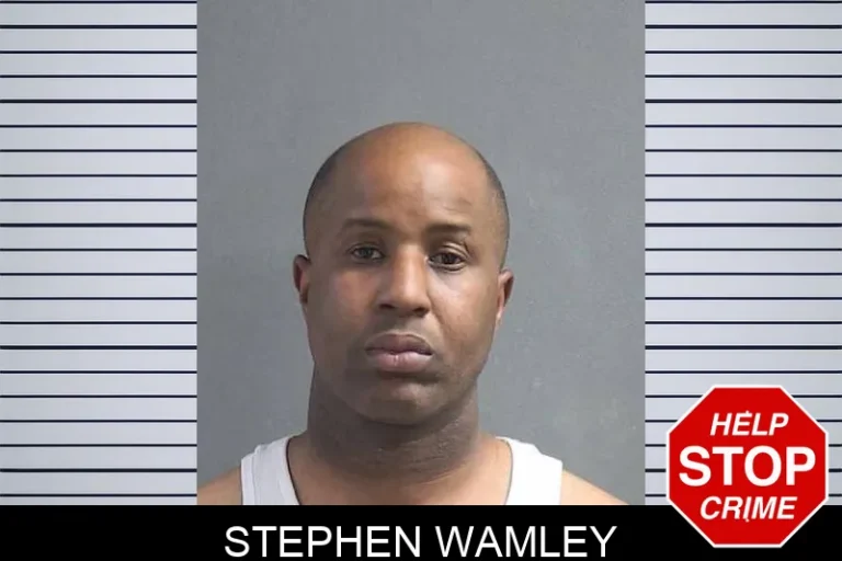 Stephen Wamley