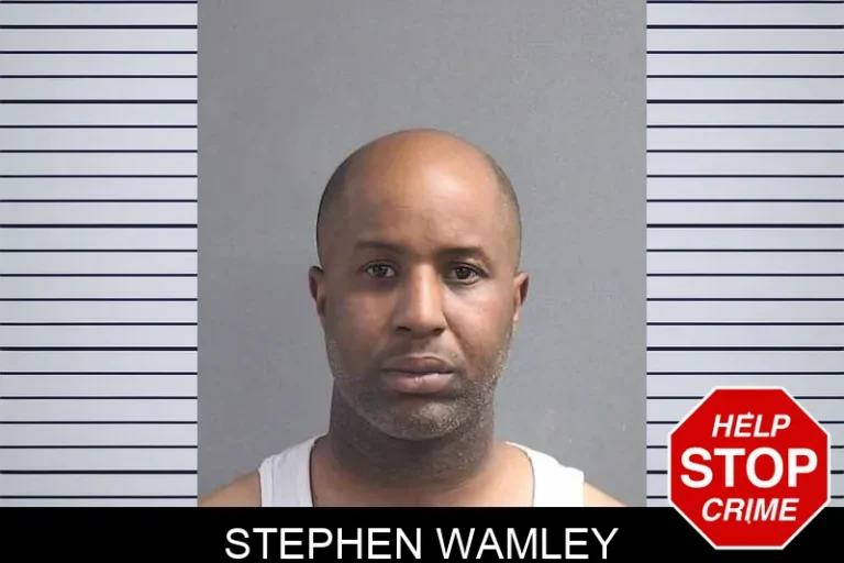 Stephen Wamley