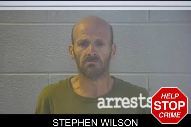 Stephen Wilson