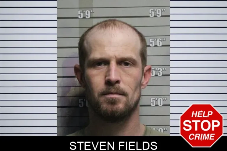 Steven Fields