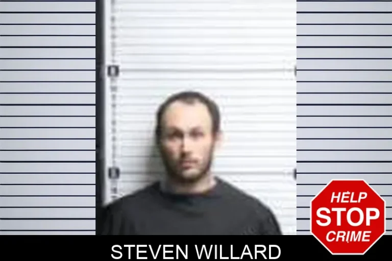 Steven Willard