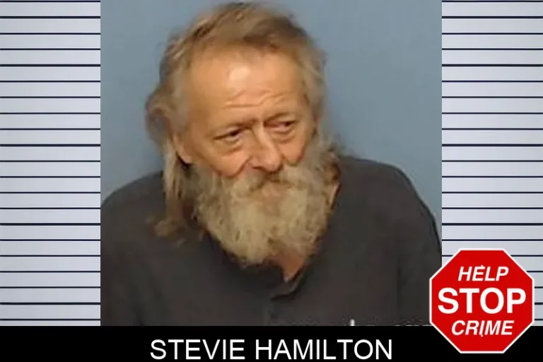 Stevie Hamilton