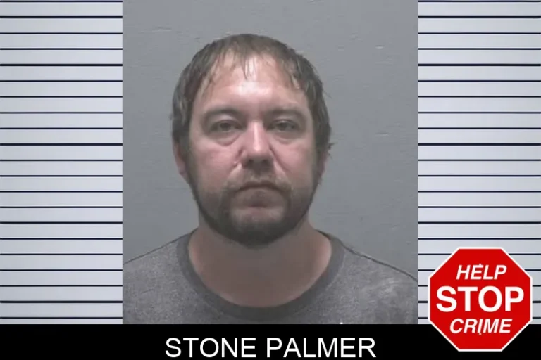 Stone Palmer