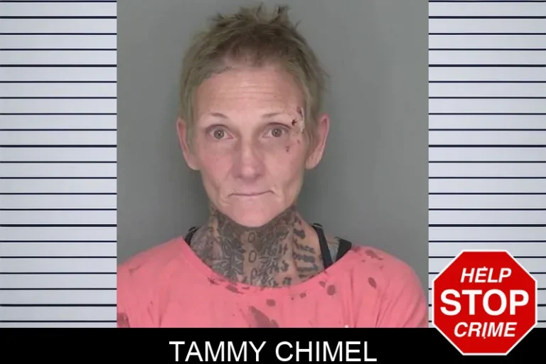 Tammy Chimel