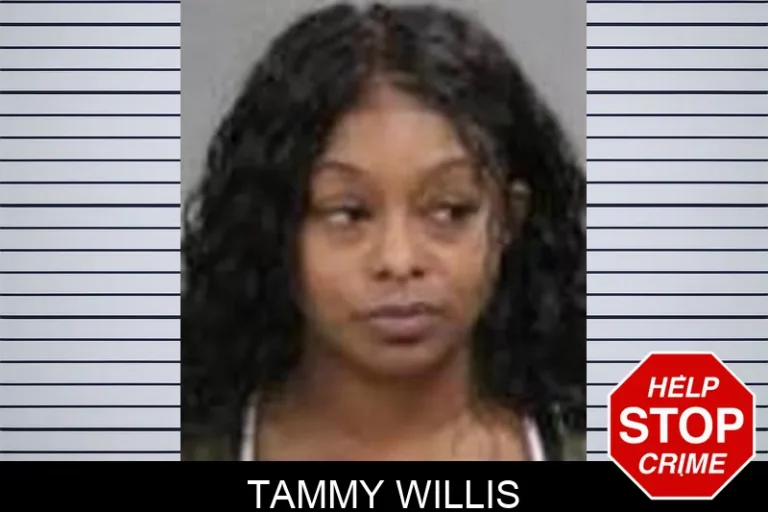 Tammy Willis