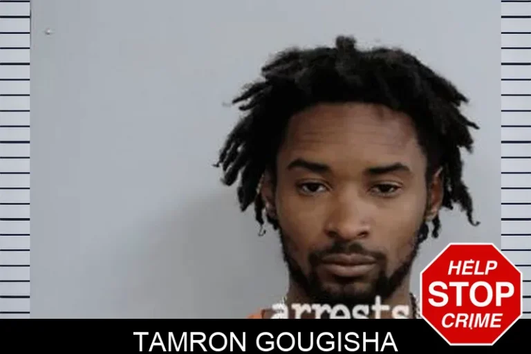 Tamron GouGisha