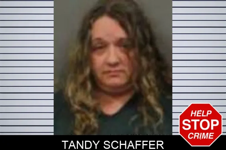 Tandy Schaffer