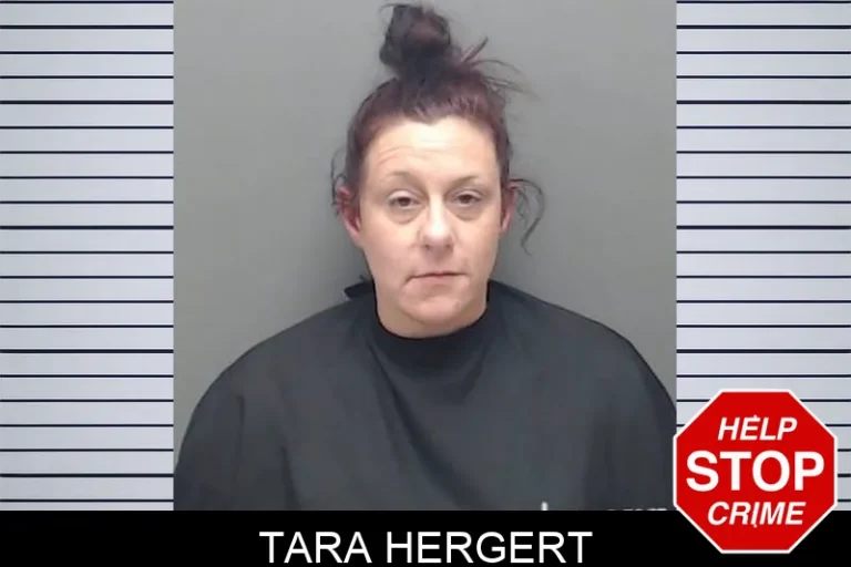 Tara Hergert