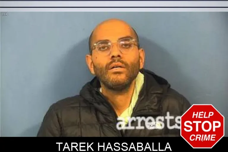 Tarek Hassaballa