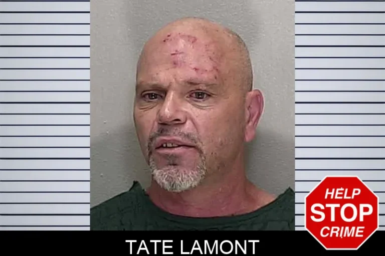 Tate Lamont