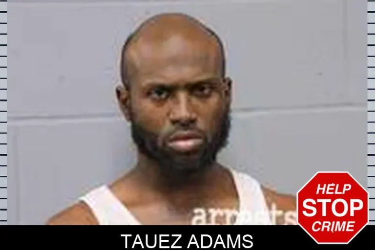 TauEz Adams