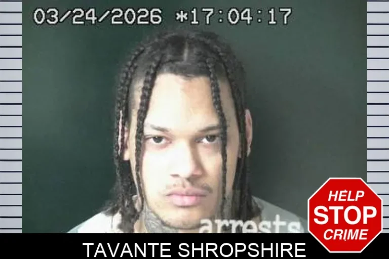 Tavante Shropshire