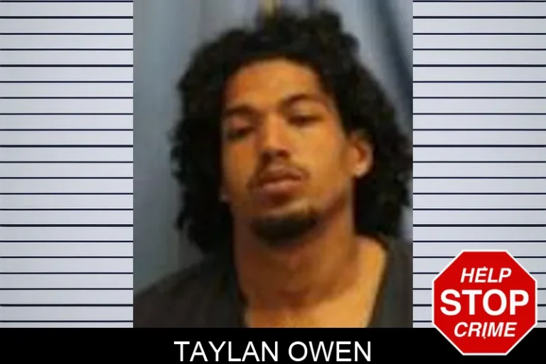 Taylan Owen