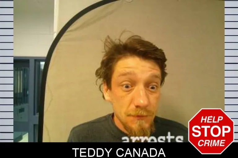 Teddy Canada