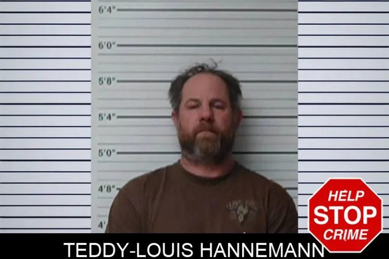 Teddy-Louis Hannemann