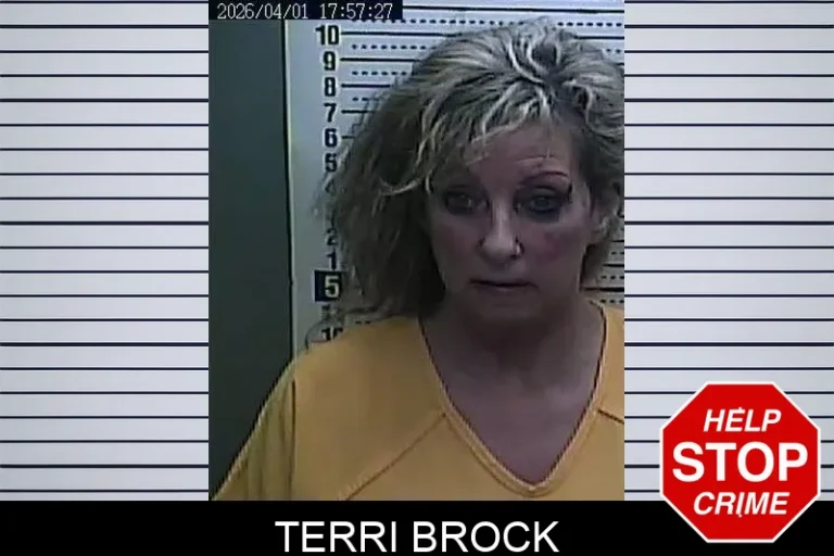 Terri Brock