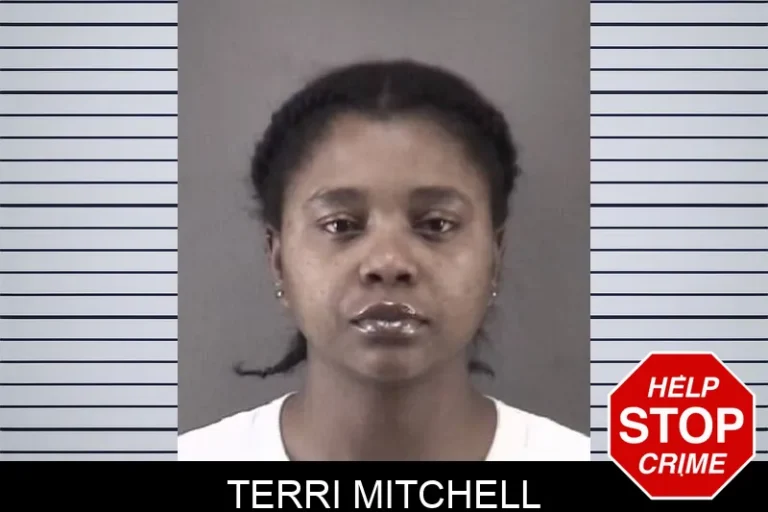 Terri Mitchell